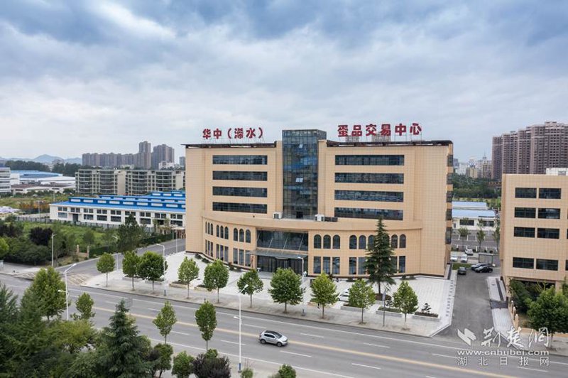 鸡蛋交易市场的变化与发展