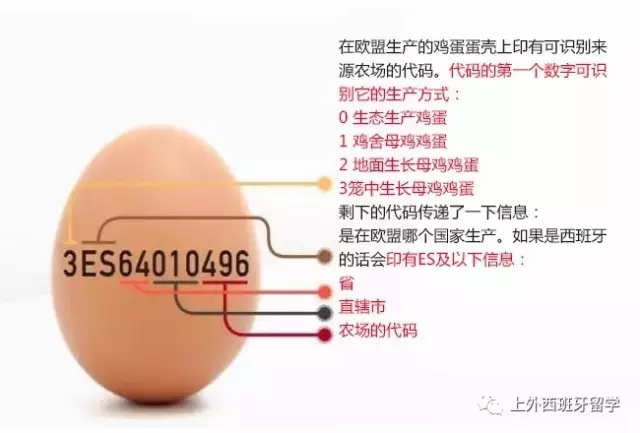 数字时代下的鸡蛋信息平台：机遇与挑战并存