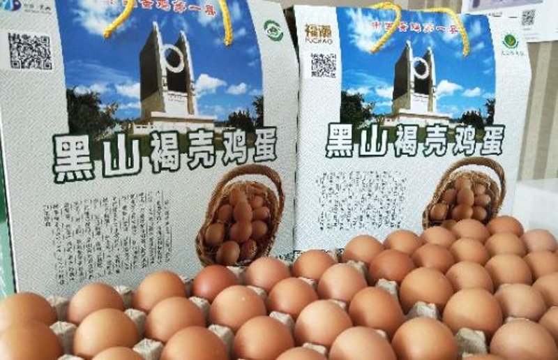 鸡蛋里的科学——探索鸡蛋信息查询的奥秘