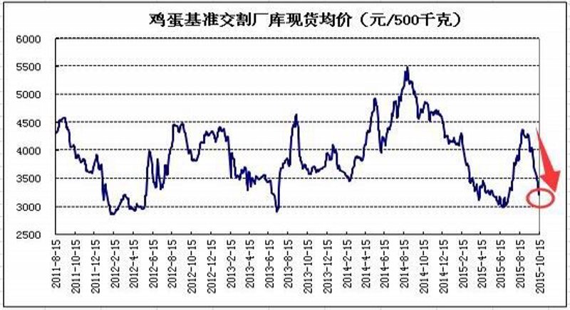 鸡蛋市场的信息枢纽：鸡蛋信息平台崛起