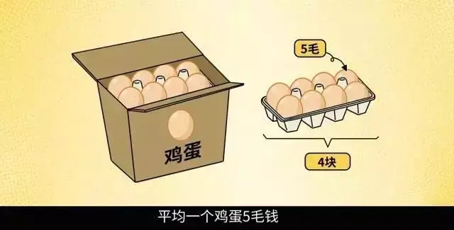 鸡蛋信息查询：解锁营养宝藏的秘密通道