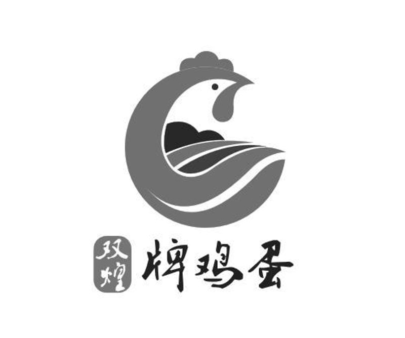 如何挑选新鲜美味的鸡蛋——优质蛋选鉴实操指南