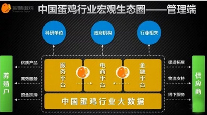 互联网时代下的鸡蛋信息平台