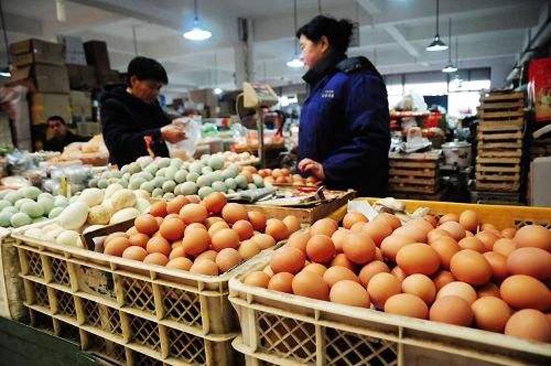 鸡蛋信息查询：营养与选择的秘密