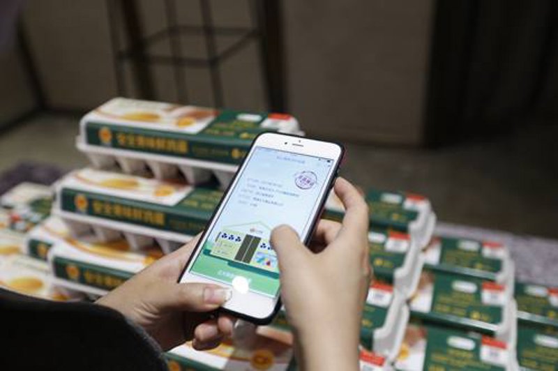 如何选购鸡蛋？一份详细的资讯清单