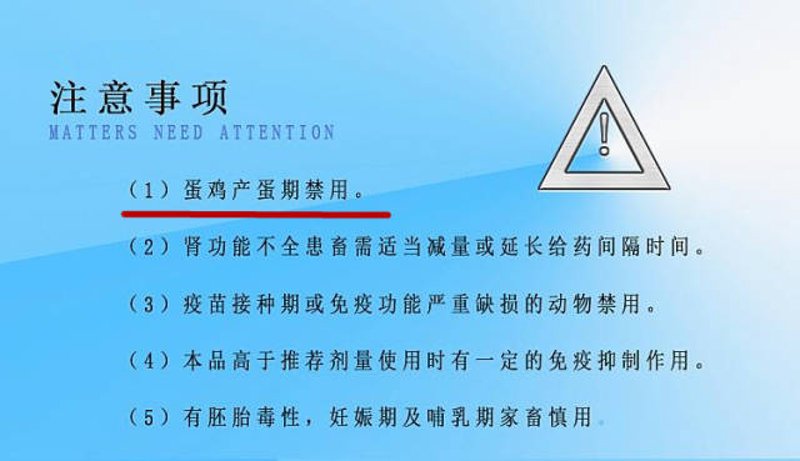 鸡蛋交割：市场动态与未来趋势
